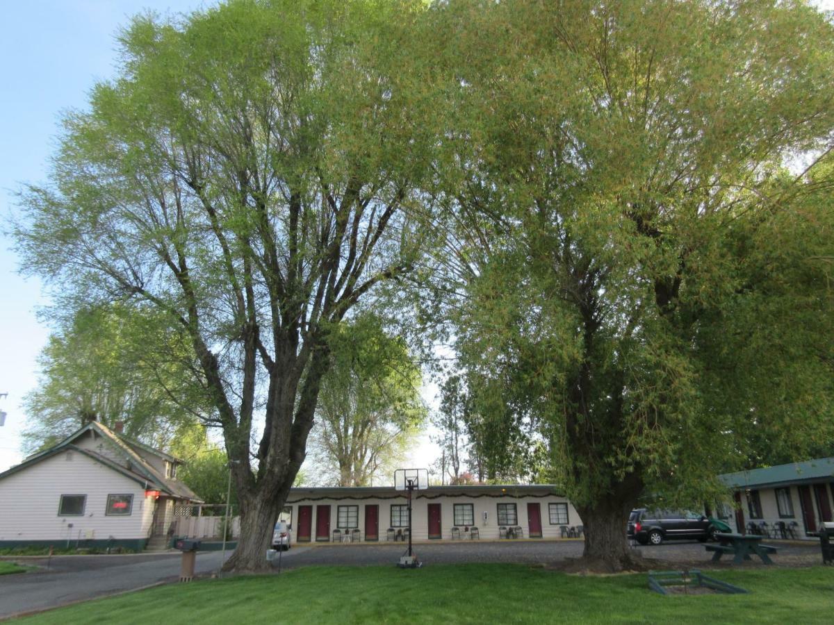The Willows Motel Wilbur Exterior foto